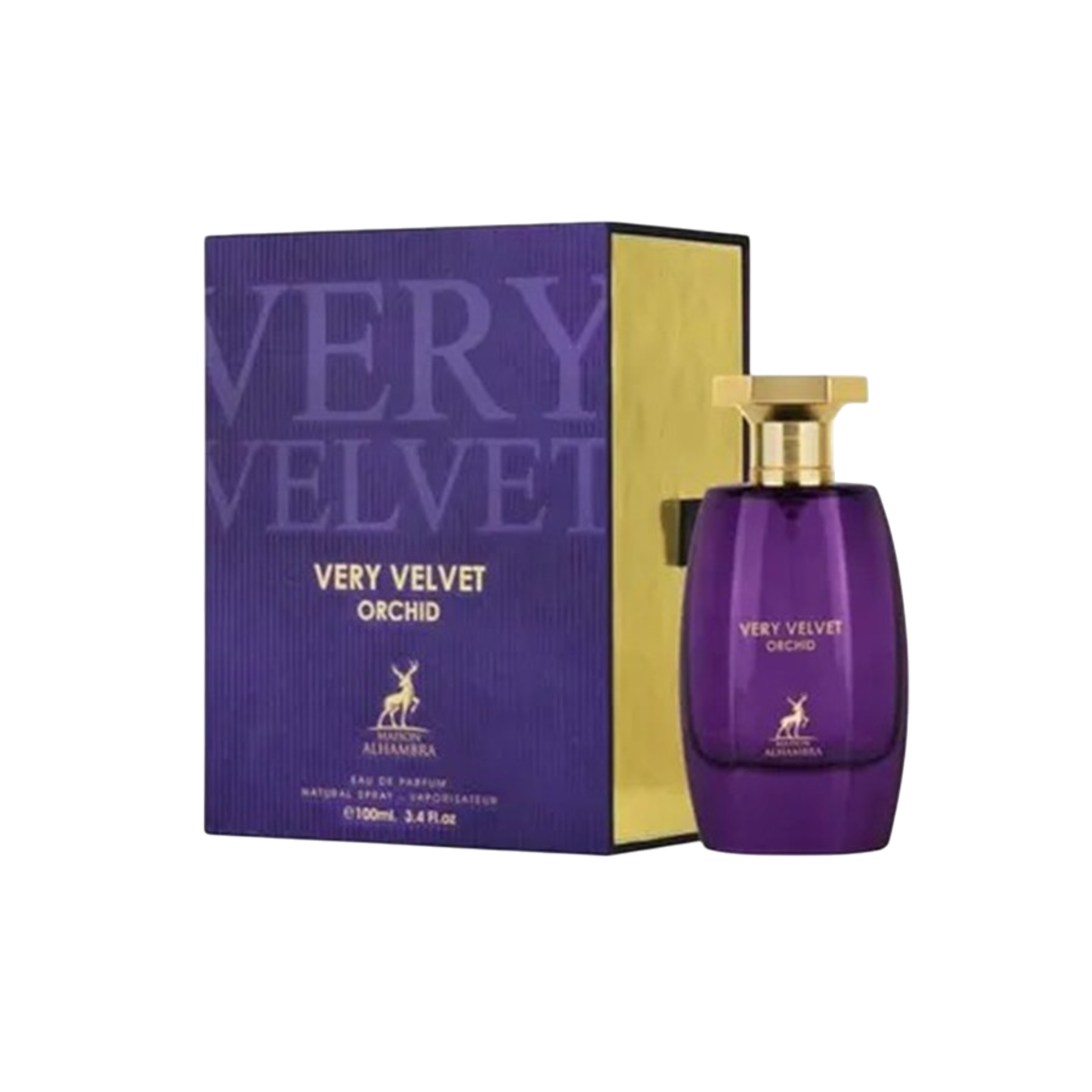 Very Velvet Orchid